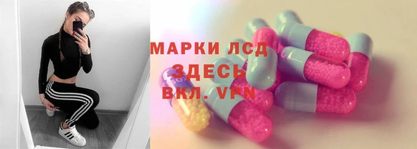 ECSTASY Лагань