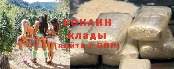 ECSTASY Лагань
