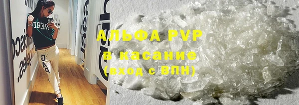 ECSTASY Лагань