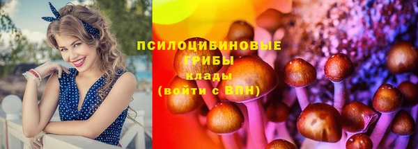 гидропоника Лабытнанги