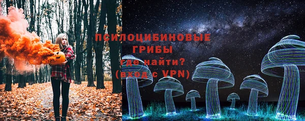 гидропоника Лабытнанги