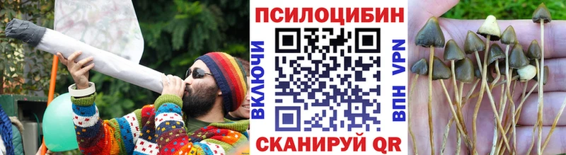 Галлюциногенные грибы мицелий Павловская